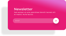 newsletter para web